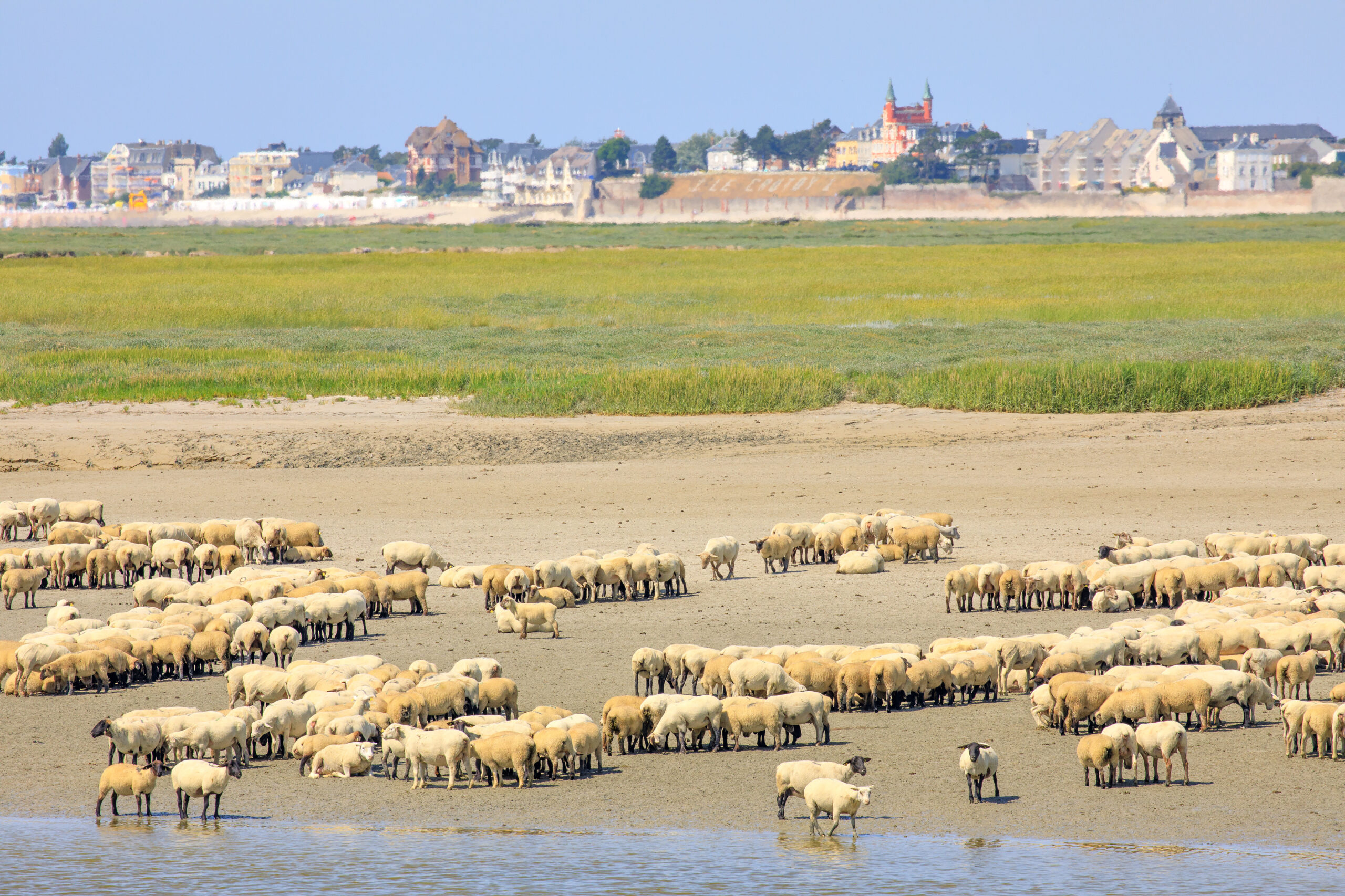 Baie de Somme et côte d'opale | Organisation séjour éducatif