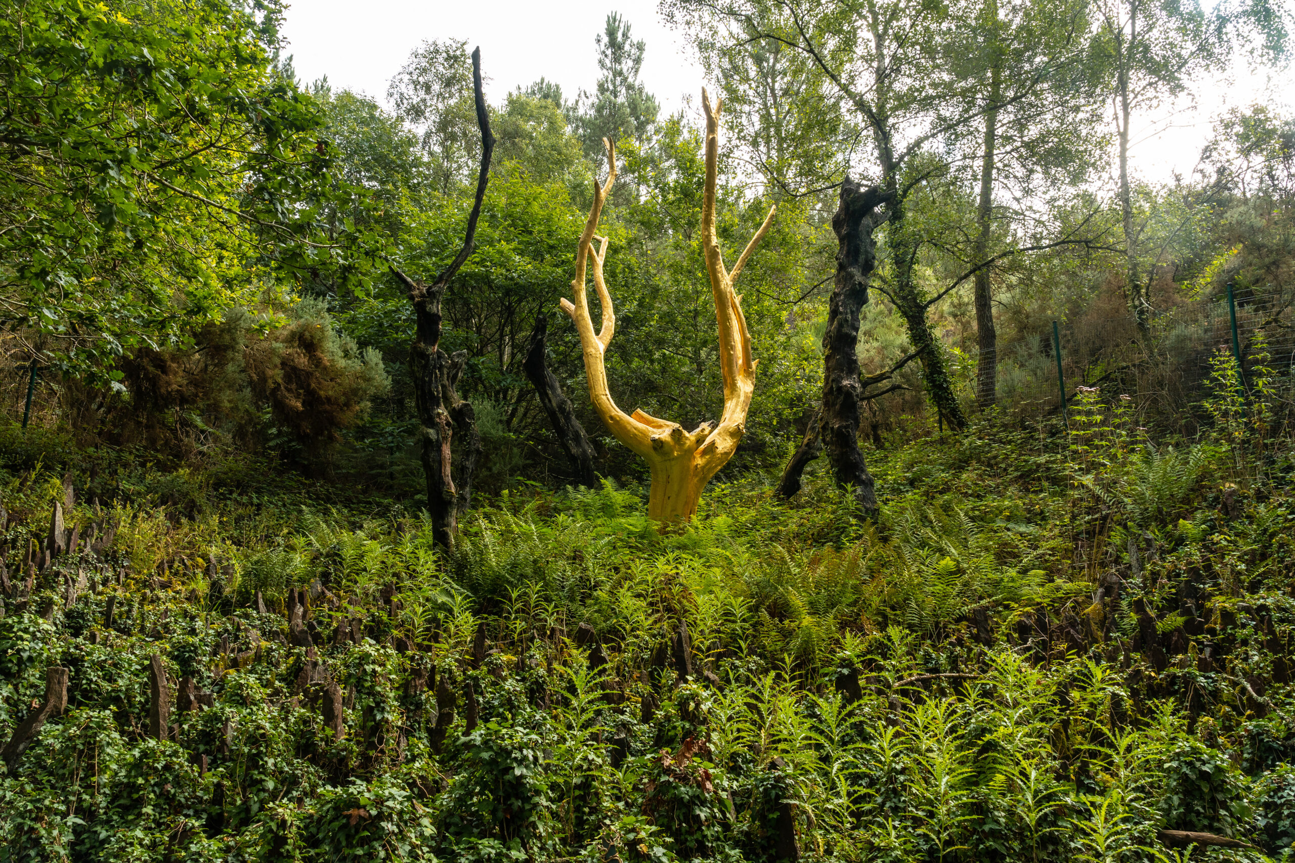 Jour 2 Contes et légendes en forêt de Brocéliande | Organisation séjour éducatif